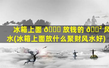 冰箱上面 🐈 放钱的 🌲 风水(冰箱上面放什么聚财风水好)